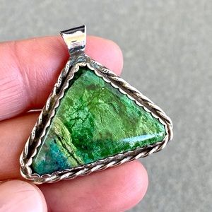 Parrot 🦜 Wing Jasper Sterling Silver Pendant